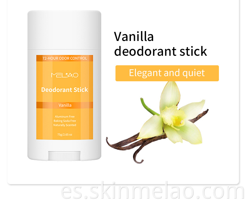 Deodorant Stick 05